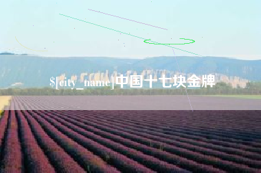 禹城中国十七块金牌