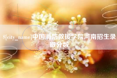 禹城中国消防救援学院河南招生录取分数