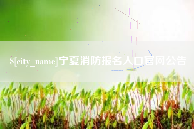 禹城宁夏消防报名入口官网公告