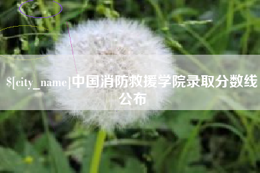 禹城中国消防救援学院录取分数线公布