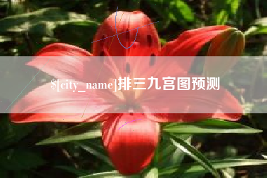禹城排三九宫图预测
