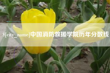 禹城中国消防救援学院历年分数线
