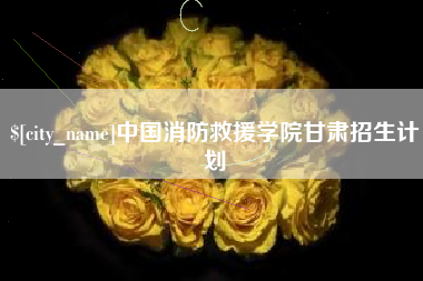 禹城中国消防救援学院甘肃招生计划
