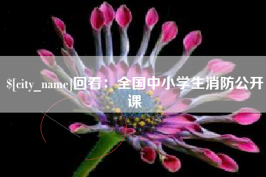 禹城回看：全国中小学生消防公开课
