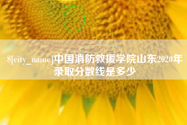 禹城中国消防救援学院山东2020年录取分数线是多少