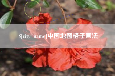 禹城中国地图格子画法