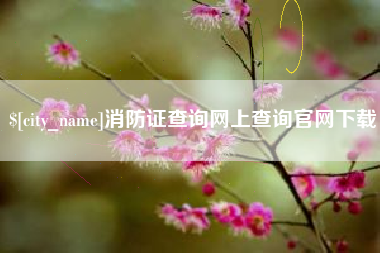 禹城消防证查询网上查询官网下载