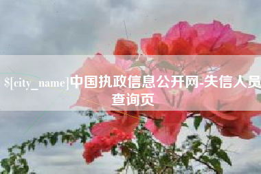 禹城中国执政信息公开网-失信人员查询页