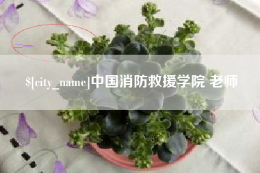 禹城中国消防救援学院 老师