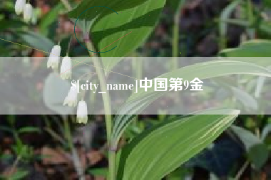 禹城中国第9金