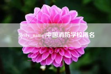 禹城中国消防学校排名