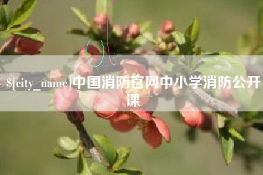 禹城中国消防官网中小学消防公开课