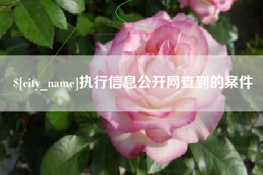 禹城执行信息公开网查到的案件