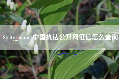 禹城中国执法公开网征信怎么查询