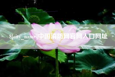 禹城中国消防网官网入口网址