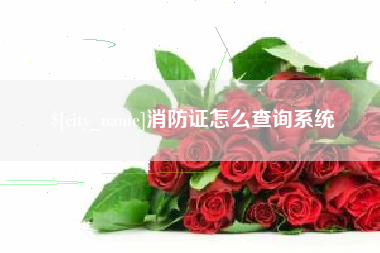 禹城消防证怎么查询系统