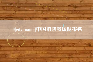 禹城中国消防救援队报名