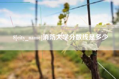 禹城消防大学分数线是多少