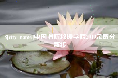 禹城中国消防救援学院2019录取分数线