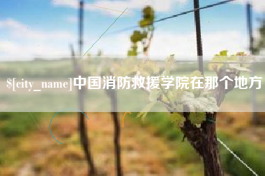 禹城中国消防救援学院在那个地方