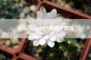 禹城2021消防分数线