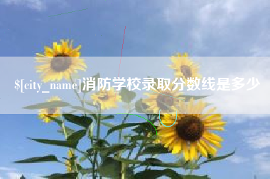 禹城消防学校录取分数线是多少