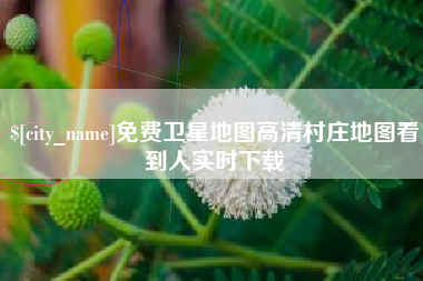 禹城免费卫星地图高清村庄地图看到人实时下载