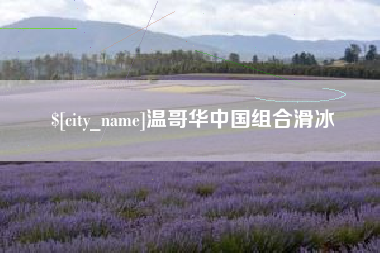 禹城温哥华中国组合滑冰
