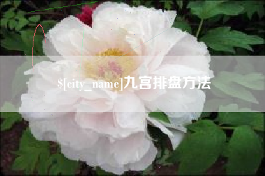 禹城九宫排盘方法