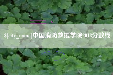 禹城中国消防救援学院2018分数线