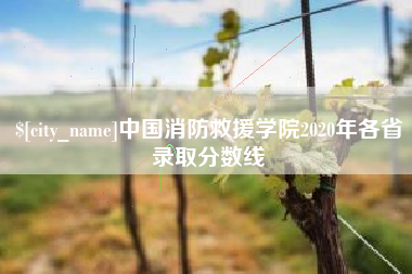 禹城中国消防救援学院2020年各省录取分数线
