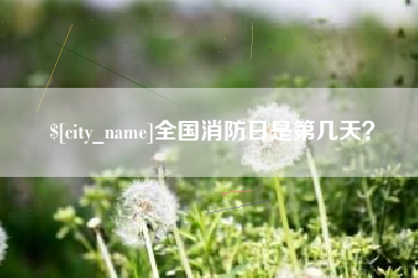 禹城全国消防日是第几天？