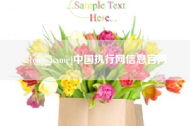 禹城中国执行网信息官网
