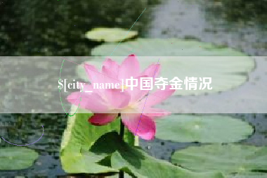 禹城中国夺金情况