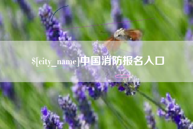 禹城中国消防报名入口