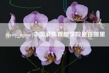 禹城中国消防救援学院是在哪里