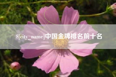 禹城中国金牌排名前十名
