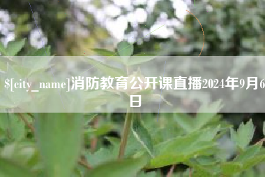 禹城消防教育公开课直播2024年9月6日