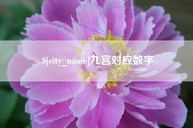 禹城九宫对应数字