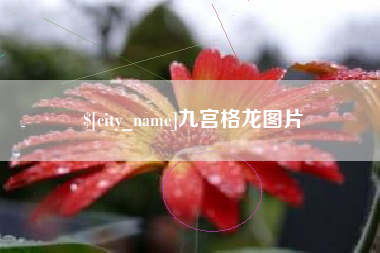 禹城九宫格龙图片