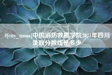 禹城中国消防救援学院2021年四川录取分数线是多少