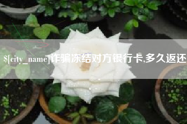 禹城诈骗冻结对方银行卡,多久返还