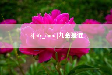 禹城九金是谁