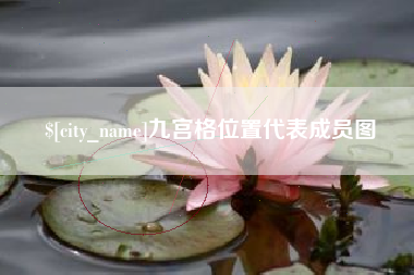 禹城九宫格位置代表成员图