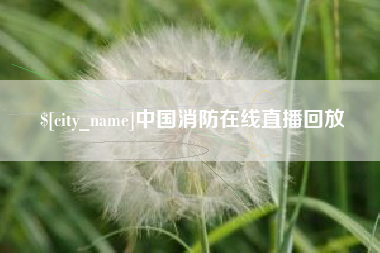 禹城中国消防在线直播回放