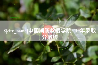 禹城中国消防救援学院2019年录取分数线