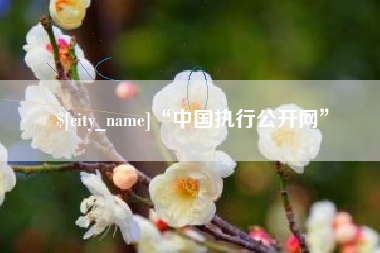 禹城“中国执行公开网”