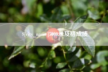 禹城5000米及格成绩