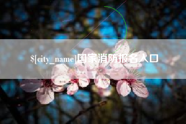 禹城国家消防报名入口
