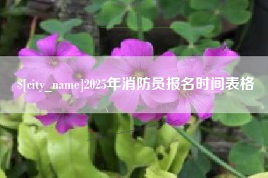 禹城2025年消防员报名时间表格